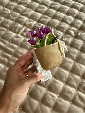 NWT Bath and Body Works Wallflowers